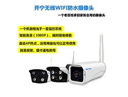 室外無線WIFI網(wǎng)絡(luò)攝像機系列2 （點擊進(jìn)入大圖）